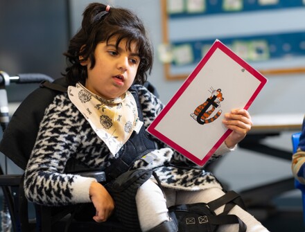 Vale Inclusion Scheme